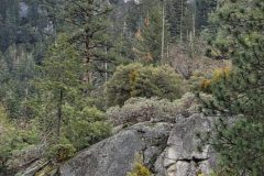 20220419_172637-scaled